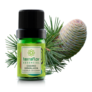 ÓLEO ESSENCIAL CEDRO HIMALAYA 5ML - TERRA FLOR RARO